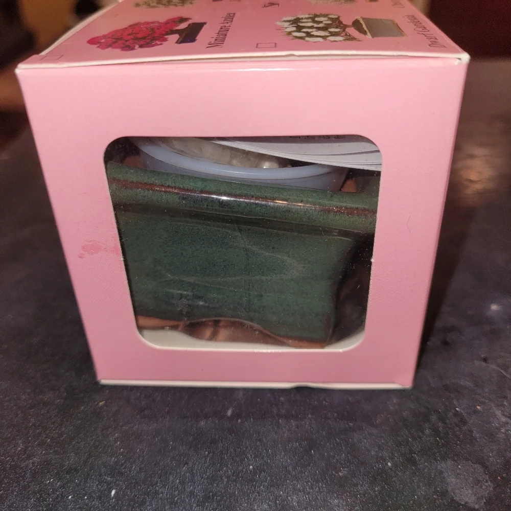 Miniature Cherry Blossom Bonsai Tree -Seed KIT  Disney Epcot